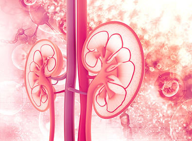 kidney stone hotline image