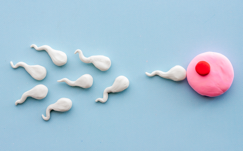 Worried About Your Sperm Count?