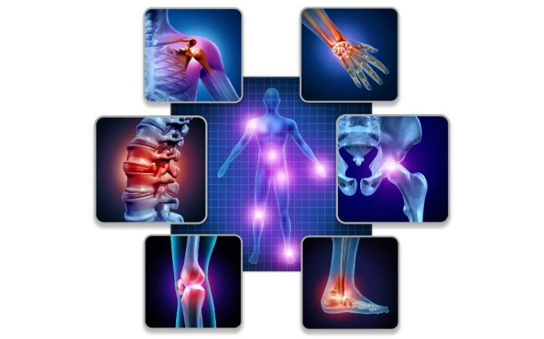 Understanding Orthopedics