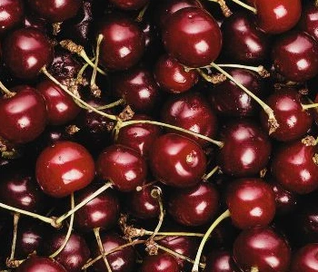 Blogs Image