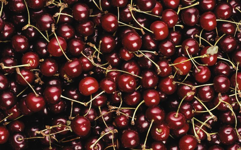 Eating for Sleep: The Best Foods to Help You Rest