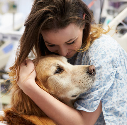 woman holding dog in hospital bed