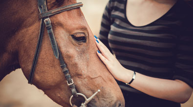 woman petting a horse